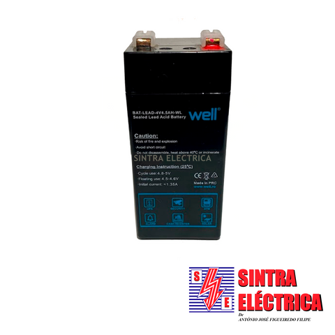 Bateria - 4 V - 4.5 A - 46x46x100 - 4744 / Well
