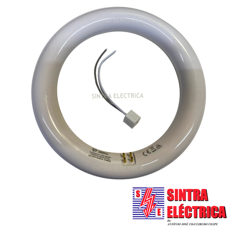 Lâmpada Fluorescente Circular LEDS - 15 w - ø 215 mm - pequena / GSC