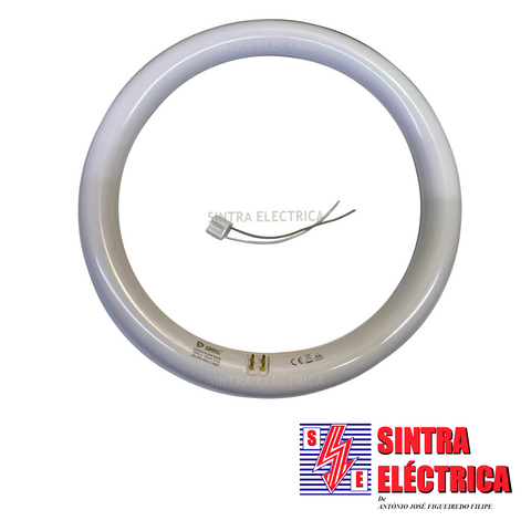 Lâmpada Fluorescente Circular LEDS - 20 w - ø 300 mm - media / GSC