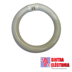 Lâmpada Fluorescente Circular - 22 w - 6400 K / Digilamp