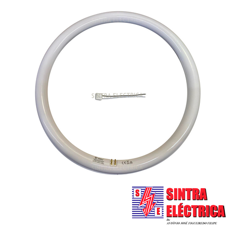 Lâmpada Fluorescente Circular LEDS - 32 w - ø 400 mm - grande / GSC