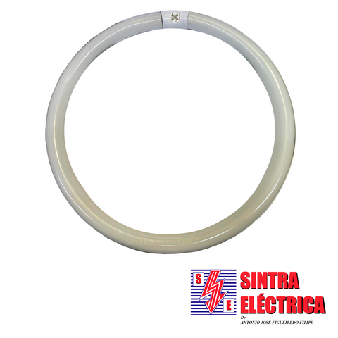 Lâmpada Fluorescente Circular - 40 w - 6400 / Digilamp