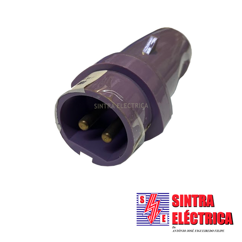 Ficha CEE - Macho - 2 P - 24 V - 16 A - 570 31 / Legrand