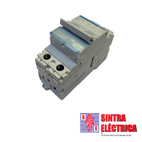 Interruptor Corte Geral - 2x 63 A - 2 P - 2  mód.- SB 263 / Hager