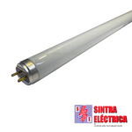 Lâmpada Fluorescente TL 8 - 10  w - F 10 D / Bright